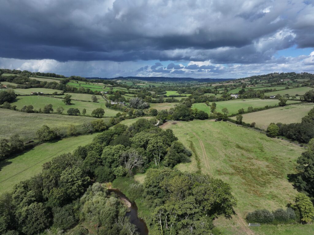 View along the Yarty valley with woodland, hedges, fields, and trees.