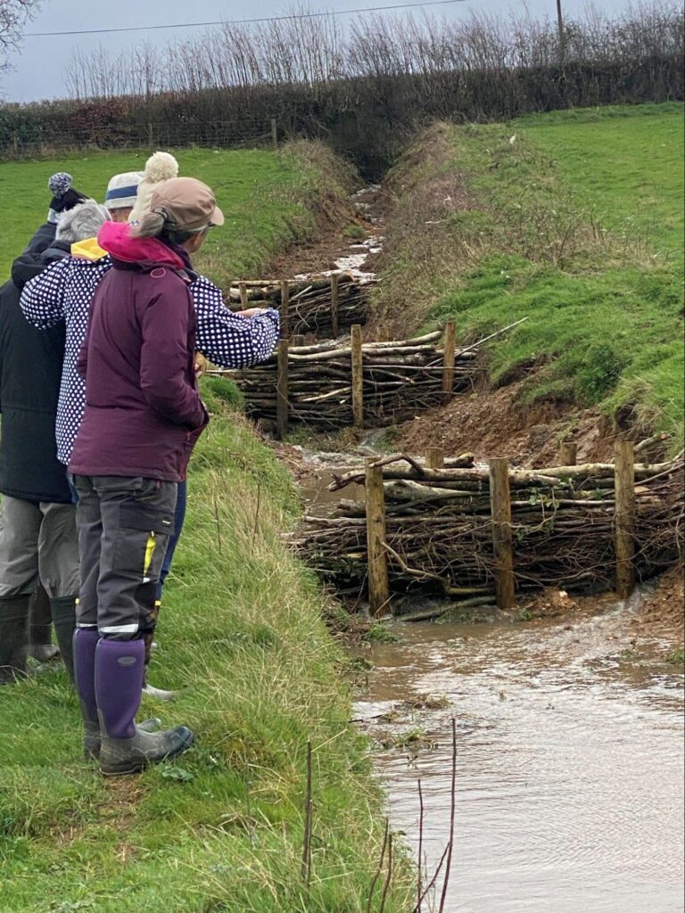 Chardstock Eco Group admiring a set of leaky dams. Photo: Vicky Whitworth