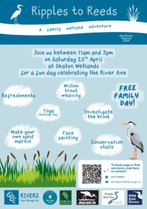 Poster for Ripples to Reeds event