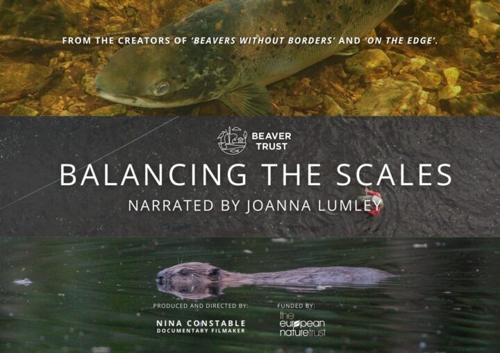 Balancing the Scales – Beavers and the Axe  