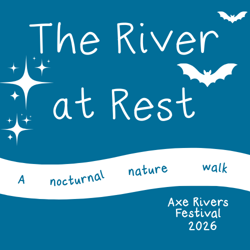 The River at Rest – A Nocturnal Nature Walk
